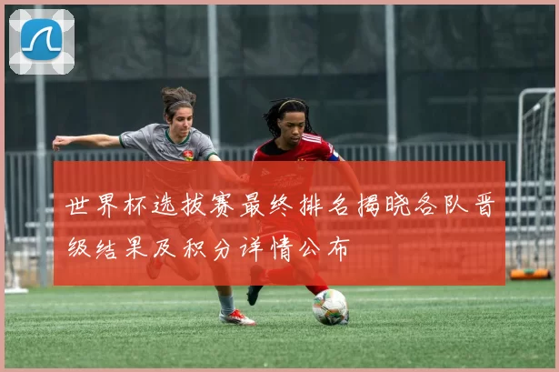 世界杯选拔赛最终排名揭晓各队晋级结果及积分详情公布
