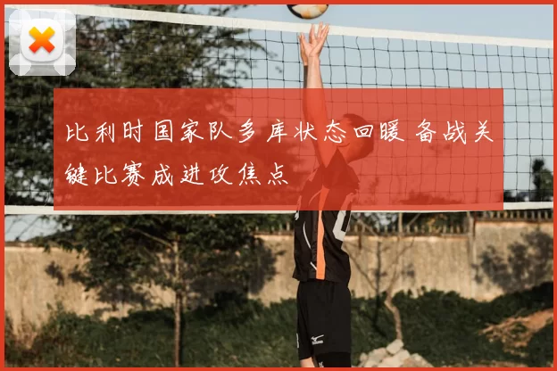 比利时国家队多库状态回暖 备战关键比赛成进攻焦点