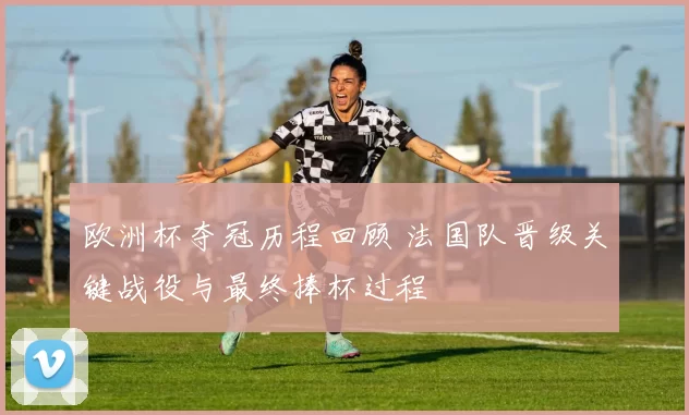 欧洲杯夺冠历程回顾 法国队晋级关键战役与最终捧杯过程