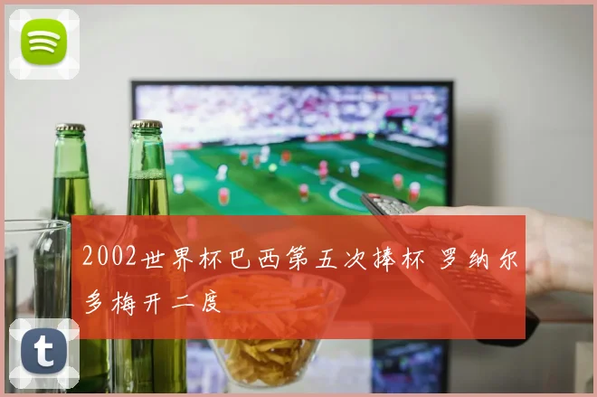 2002世界杯巴西第五次捧杯 罗纳尔多梅开二度